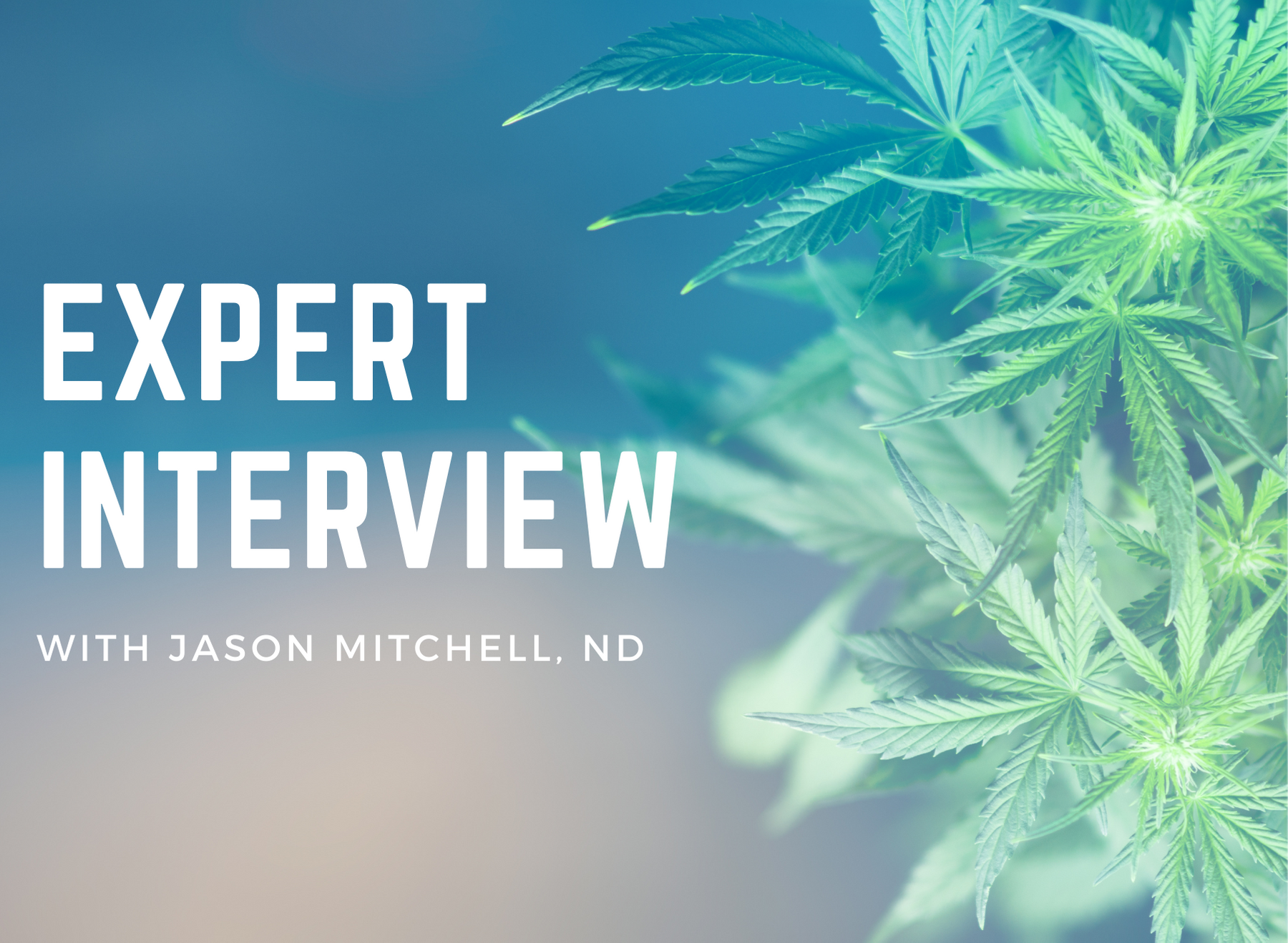 The ABC’s of CBD with Expert Jason Mitchell