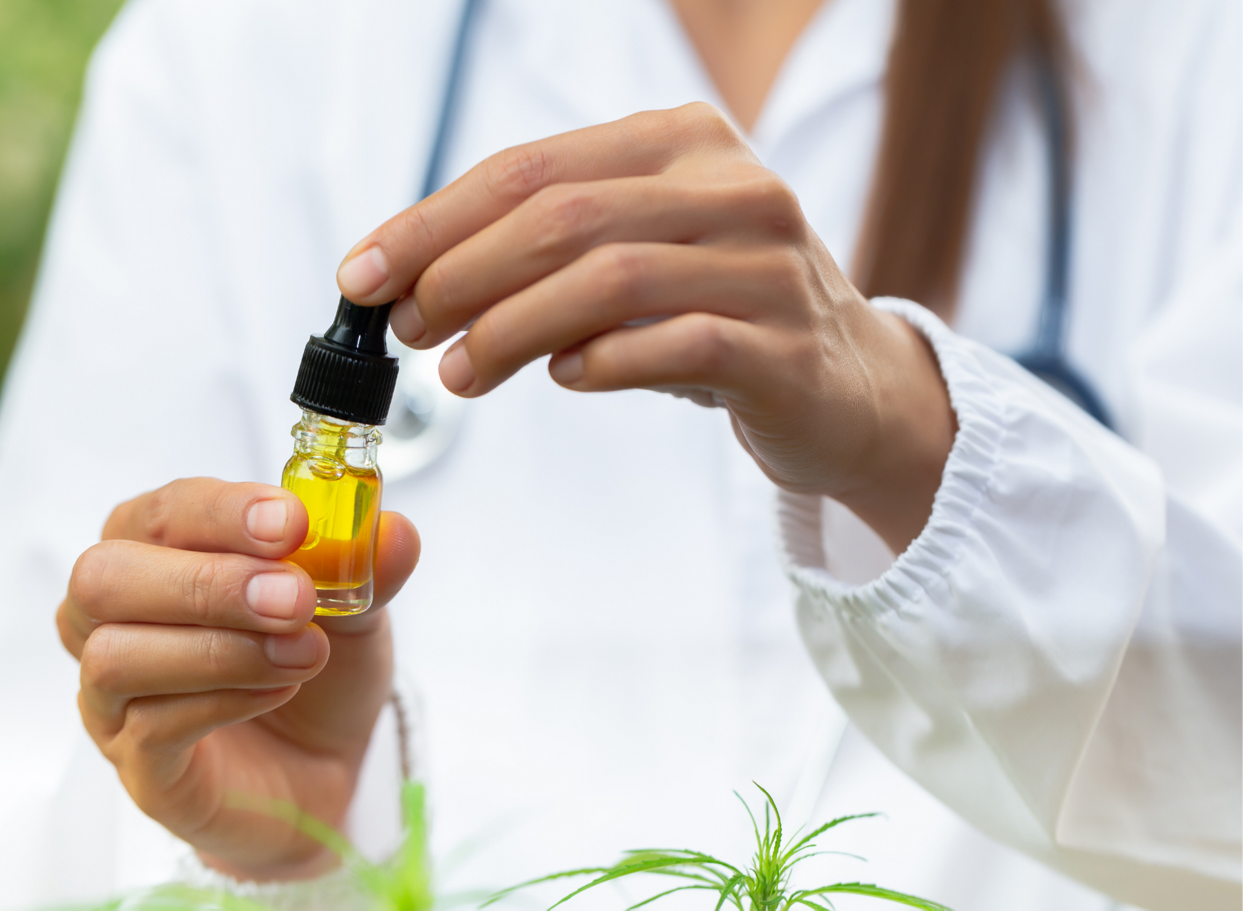 Study Reports No Evidence of Liver Toxicity from Use of Hemp-Derived CBD Products