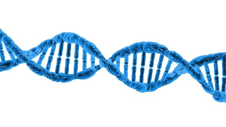 ALS and FTD Share Genetic Link