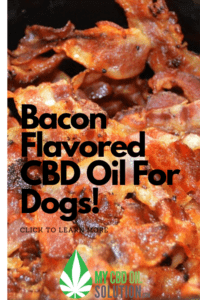 BACON-FLAVOR-CBD-OIL-FOR-DOGS-200x300.png