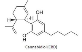 CBD Formulation