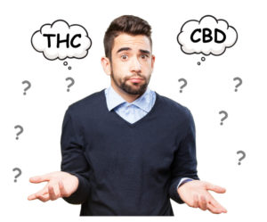 CBD-vs-THC-e1557278548749-300x249.jpg