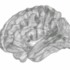 this shows the van-dan network in the brain