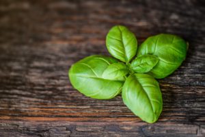 Basil-300x200.jpg