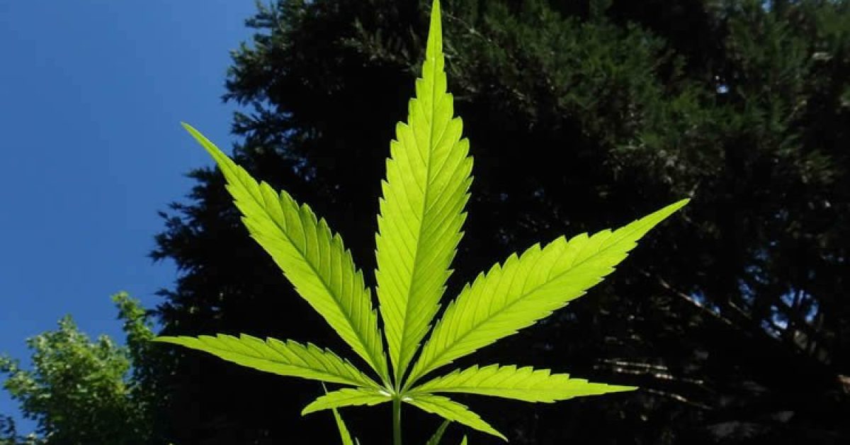 cbd-depression-neurosciencenews-public.jpg