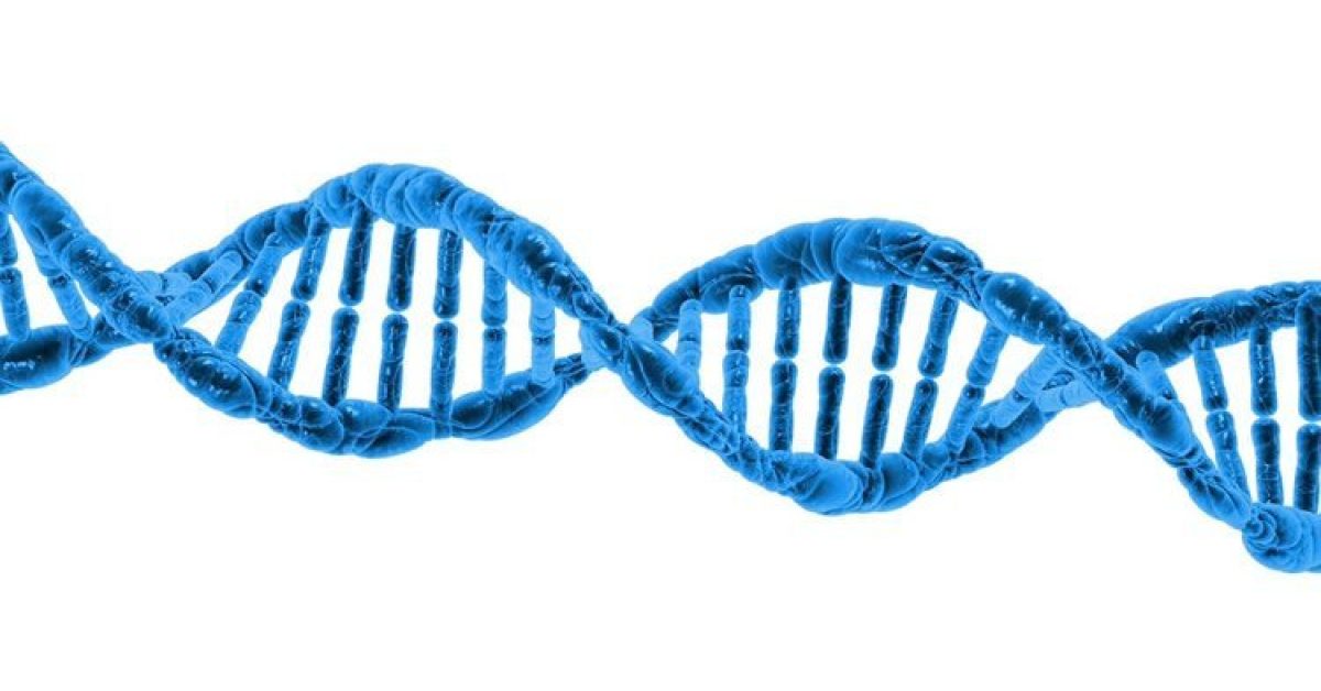 als-ftd-genetics-neurosceincenews-public.jpg