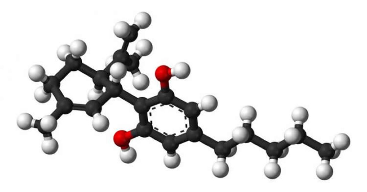 cbd-thc-neurosciencenews.jpg