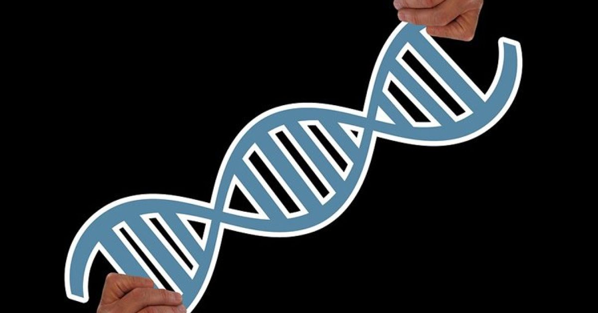 genetics-cannabis-addiction-neurosciencenrws-public.jpg